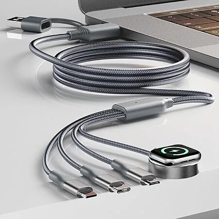 Amazon - 4-in-2 Multi Charging Cable with Smartwatch Charging, Grey-4FT - $4.19