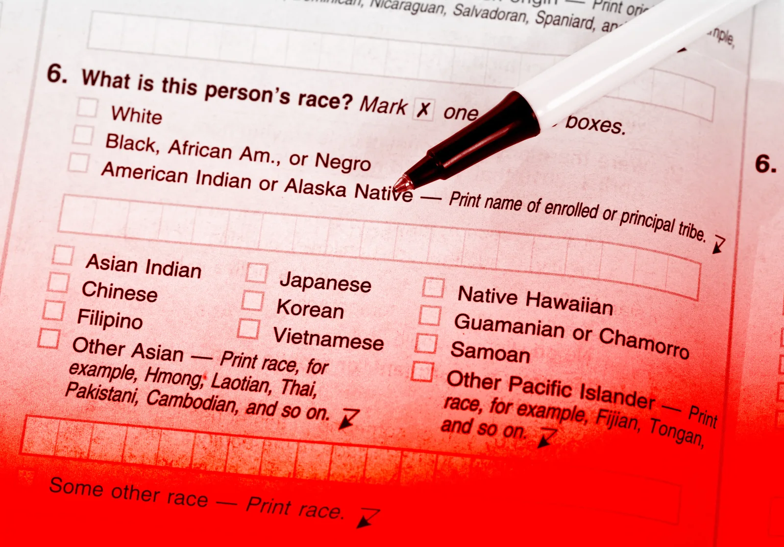 Census Proposal Would Stop Counting Undocumented Immigrants, and Ignore Race and Sexual Orientation