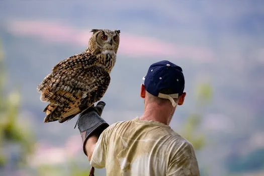 Blue Owl caps private credit funds redemptions at 5% after steep request levels