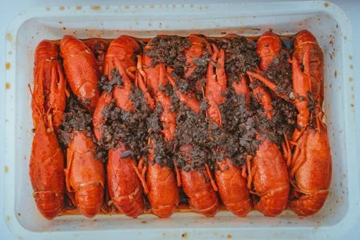 How China fell for a lobster: What an AI assistant tells us about Beijing's ambition